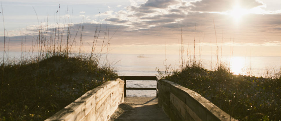 wooded pathway to the beach with tall seagrass on both sides and blew ocean water in back.