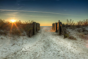 dawn-at-spring-lake-beach-bill-mckim