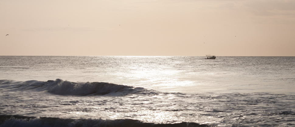 rolling gray waves with pink sun glinting and pinkish clouds in sky shrimp boat in background seagull to the side