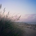 beach at dusk